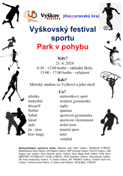 Vyškovský festival sportu - Park v pohybu